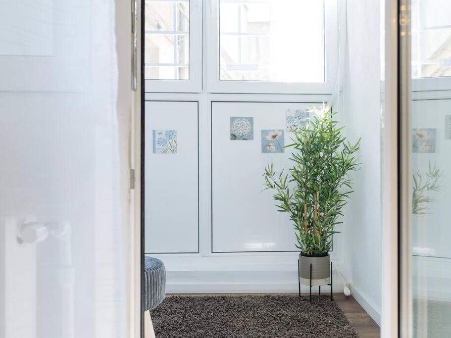 Cozy Studio Next To House Of Parliament Bukurešť Exteriér fotografie